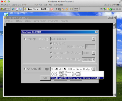 TeraTerm USB serial bridge screen