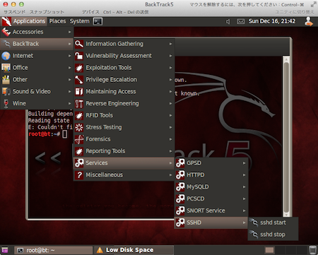 backtrack_sshd_start