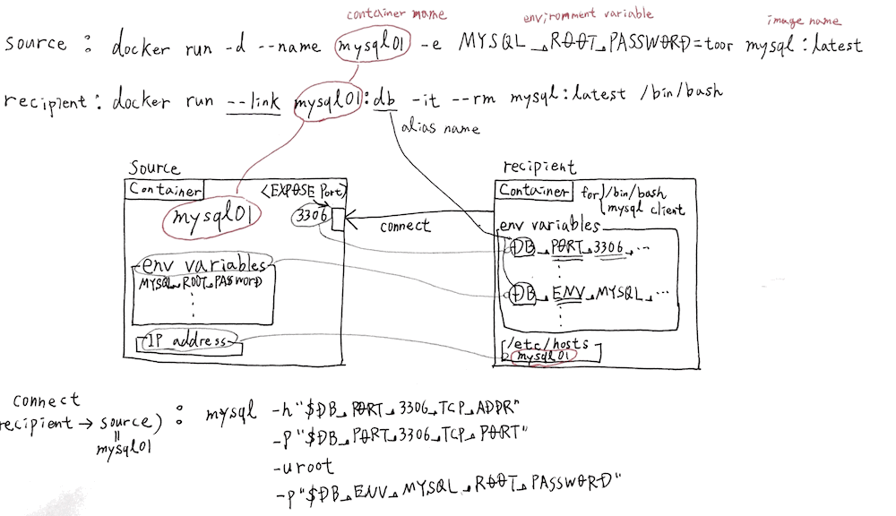 docker_link_mysql