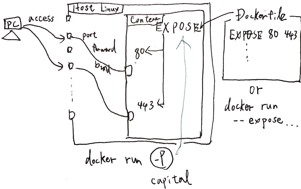 docker_run_expose_port