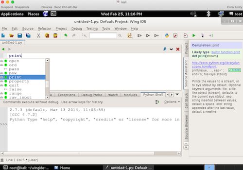 python-wingide-screen